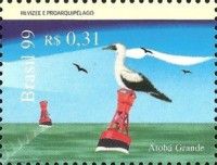Masked Booby (Sula dactylatra) on Buoy