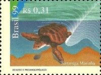 Hawksbill Turtle (Eretmochelys imbricata)