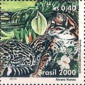 Tiger Cat (Felis tigrina)