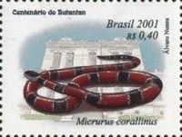 Painted Coral Snake (Micrurus corallinus)