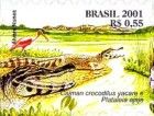 Yacare Caiman (Caiman yacare)