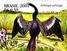 Anhinga (Anhinga anhinga)