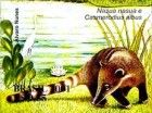 South American Coati (Nasua nasua), Great Egret