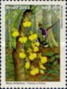 Green-crowned Plovercrest (Stephanoxis lalandi), Orchids