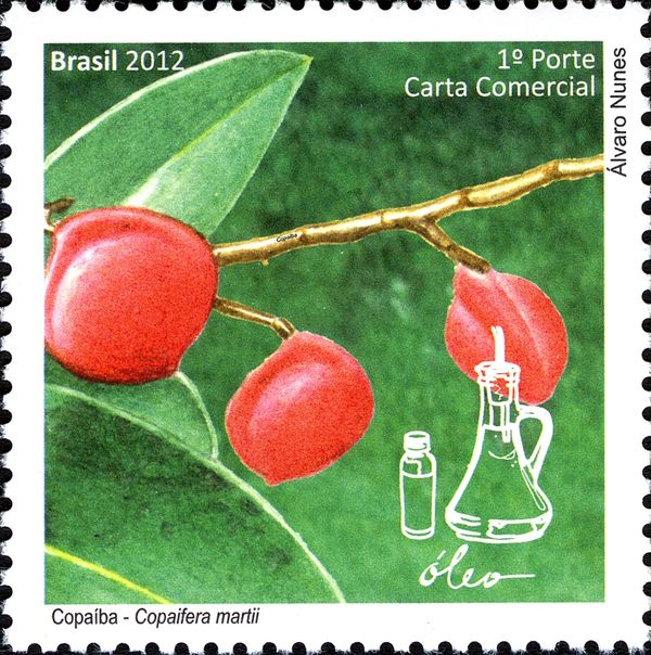 Copaíba (Copaifera martii)