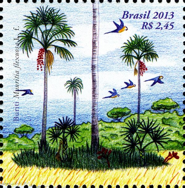 Moriche Palm (Mauritia flexuosa), Blue-and-yellow Macaw (Ara