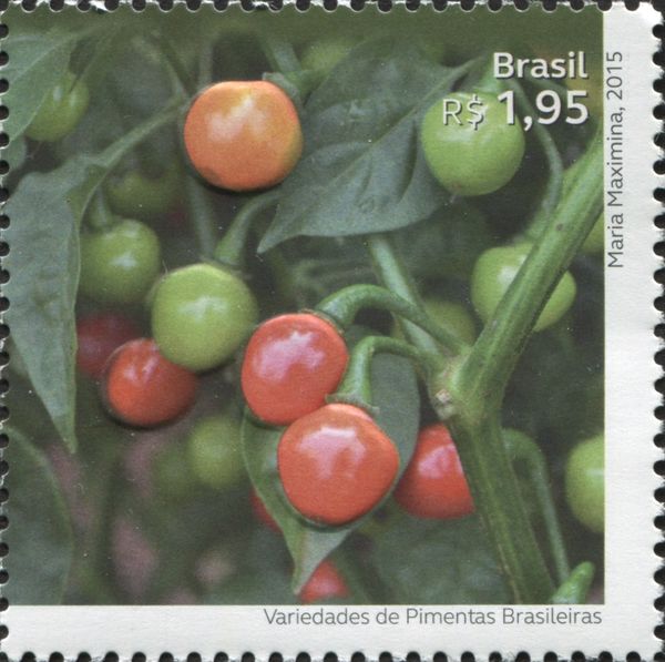 Bode (Capsicum chinense)