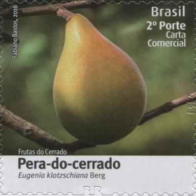 Pero-do-cerrado (Eugenia klotzschiana)