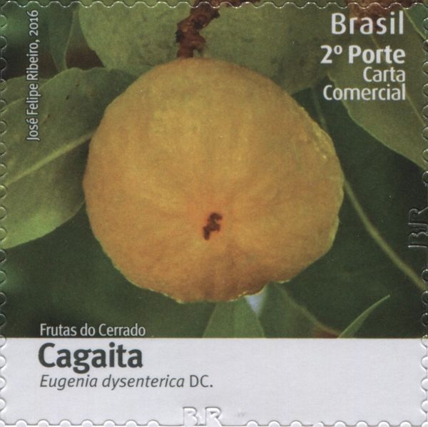 Cagaita (Eugenia dysenterica)