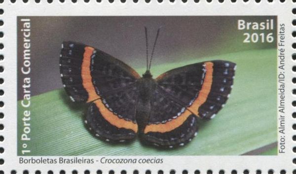 Orange-banded Gem (Crocozona coecias)