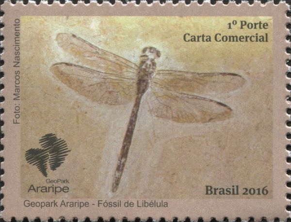 Dragonfly Fossil