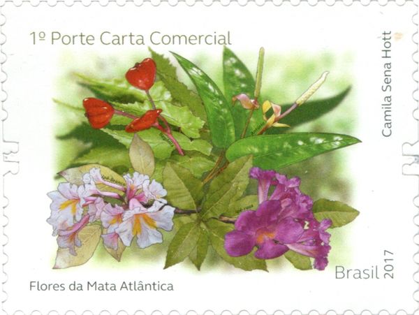 Flowers of the Atlantic Forest