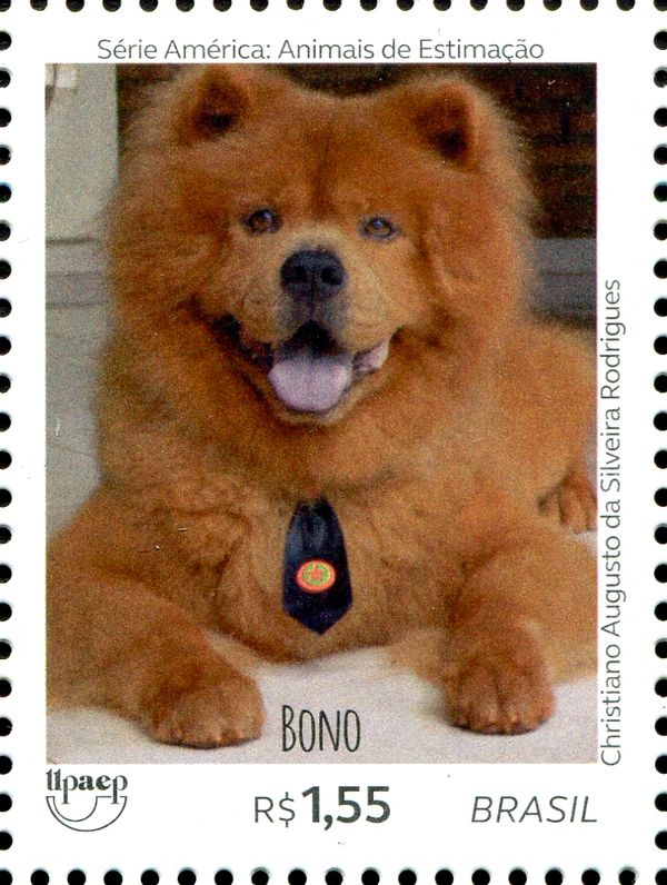 Dogs - Bono