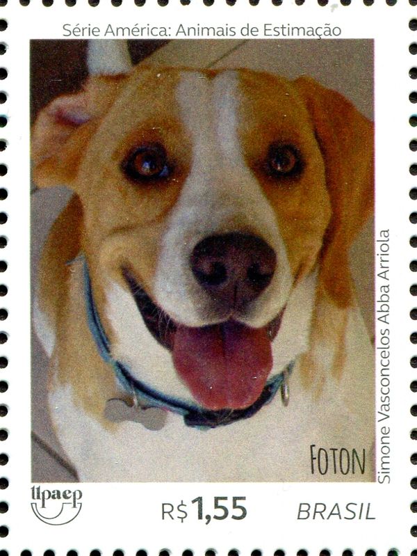 Dogs - Foton