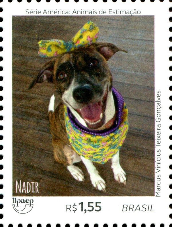 Dogs - Nadir