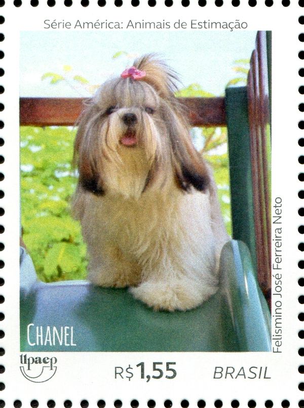 Dogs - Chanel