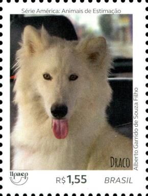 Dogs - Draco