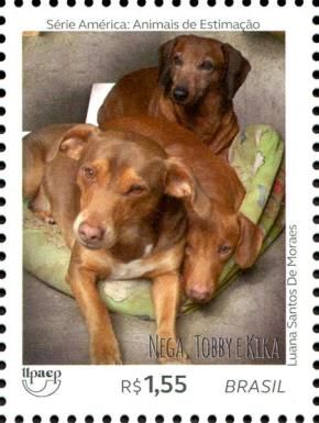 Dogs - Nega, Tobby & Kika