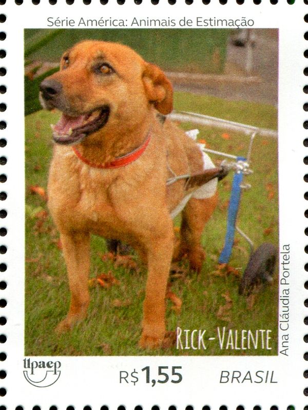 Dogs - Rick Valente