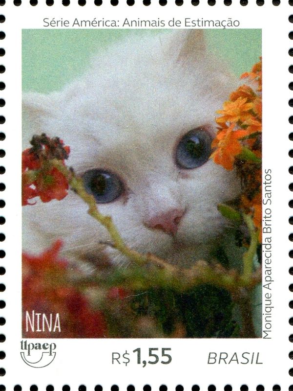 Cats - Nina