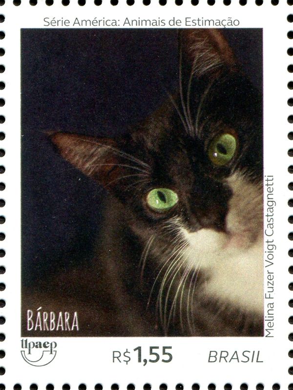 Cats - Barbara