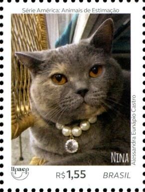 Cats - Nina
