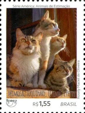 Cats - Mimosa, Tuquinho, Titinho & Petty
