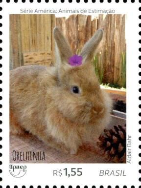 Rabbit - Orelinha