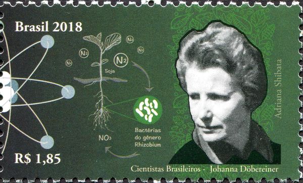 Brazilian Scientists: Joanna Döbereiner (1924 - 2000)