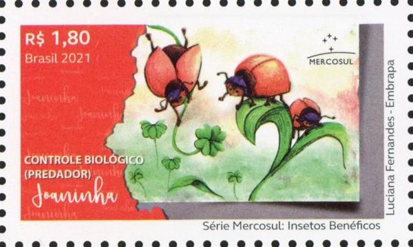 Ladybugs