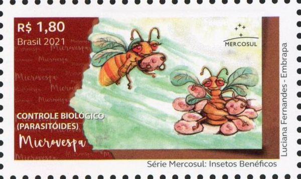 Microwasps