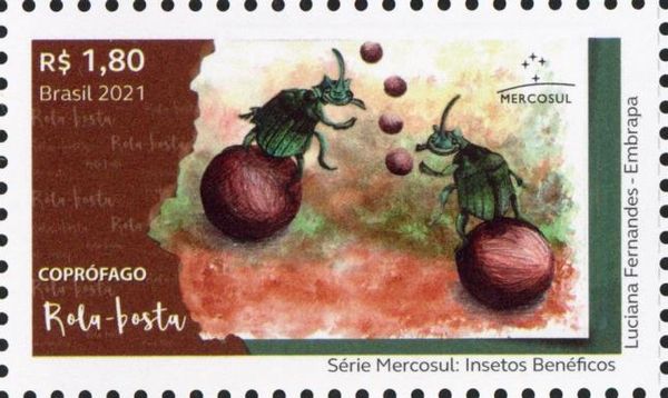 Dung Beetle