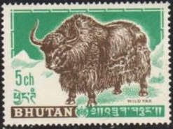 Yak (Bos mutus)