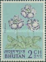 Primrose (Primula sp.)