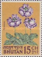 Primrose (Primula sp.)