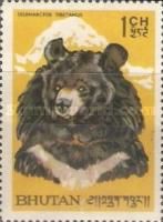 Himalayan Black Bear (Ursus thibethanus)