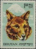Dhole (Cuon alpinus)
