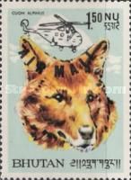 Dhole (Cuon alpinus)