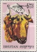 Takin (Budorcas taxicolor)