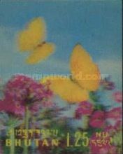 Yellow-angled Sulphur (Anteos maerula)