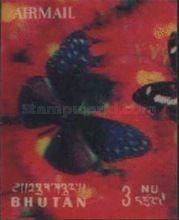 Striped Blue Crow (Euploea mulciber basilissa)