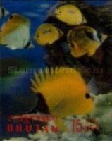 Longnose Butterflyfish (Forcipiger longirostris)