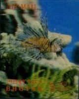 Luna Lion Fish (Pterois lunulata)