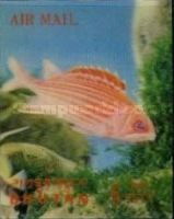 North Pacific Squirrelfish (Sargocentron spinosissimum)