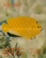 Three-spotted Angelfish (Apolemichthys trimaculatus)