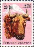Takin (Budorcas taxicolor)