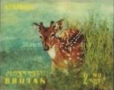 Chital (Axis axis)