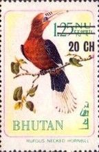 Hornbill