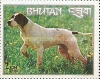 Pointer (Canis lupus familiaris)
