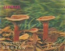 Mushrooms (Cantharellus tubae- formis var. Lutescens)